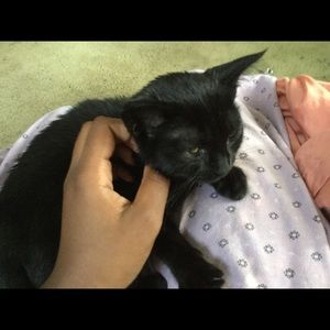 Meet your Posher, Grace